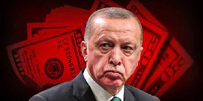 Dünyaca ünlü ekonomistten Erdoğan için dikkat çeken sözler