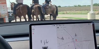 Elon Musk atları algılayamayan Teslaları savundu