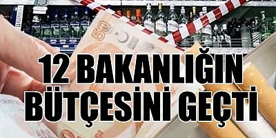 Tütün, şans oyunları ve içkiden elde edilen vergi tutarı belli oldu