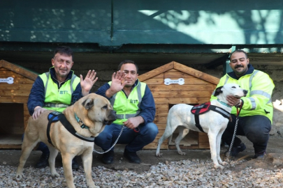 İETT'nin patili dostlar ailesi büyüyor